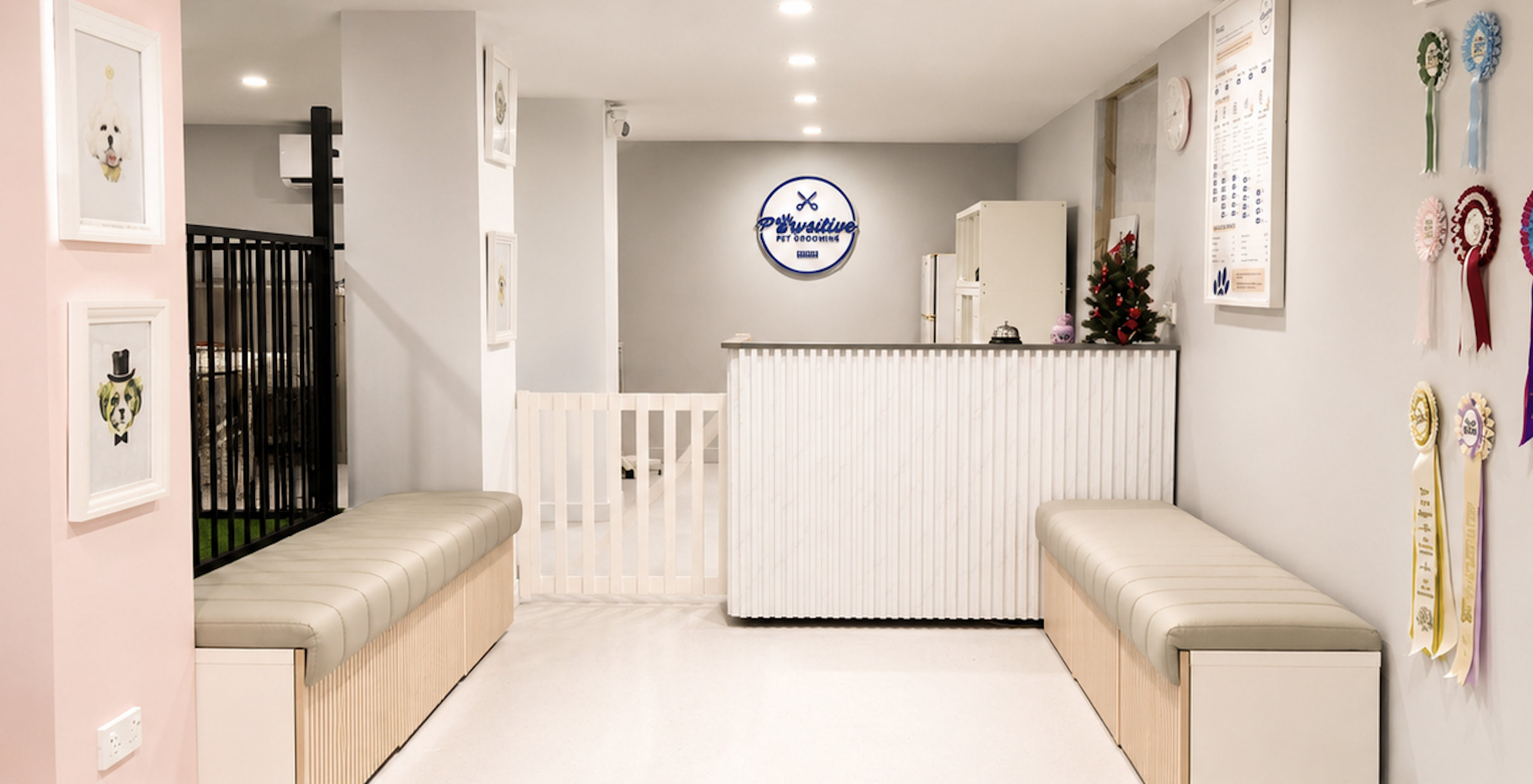 The Pawsitive Pet Grooming salon reception